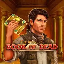 Try Book of Dead slot by Play'n GO on towercasino.fyi – logo image